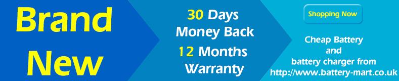 cheap battery and battery charger